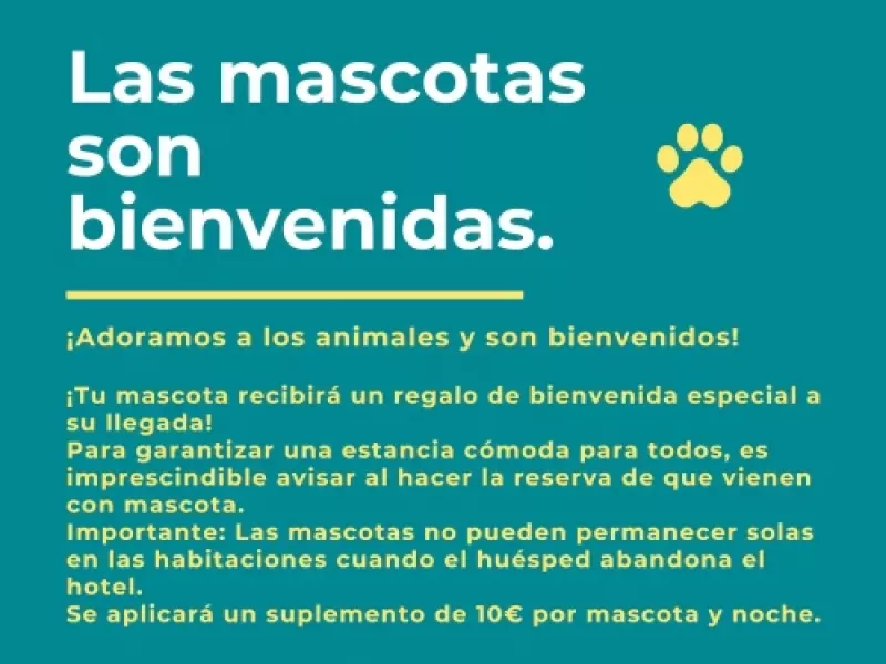 Hotel Las Solanas Escalante: Las Mascotas son Bienvenidas en Cantabria Hotel Las Solanas Escalante: Las Mascotas son Bienvenidas en Cantabria