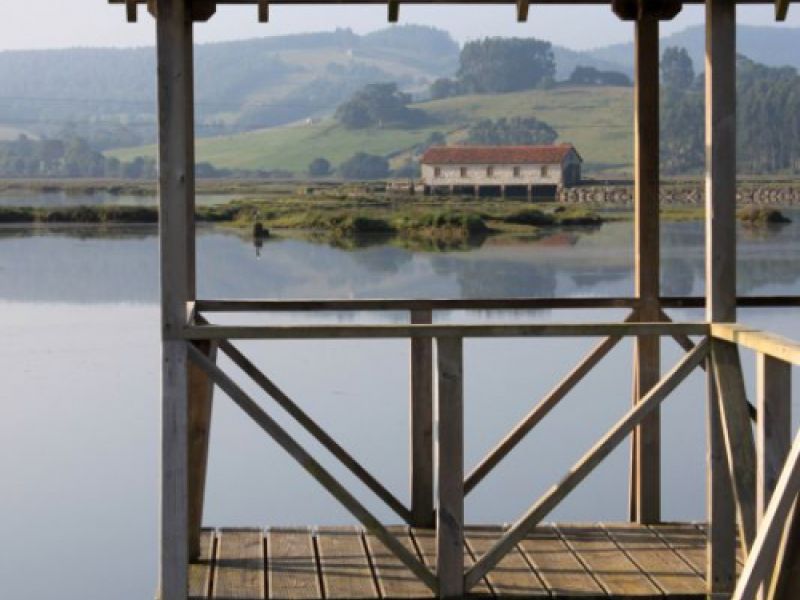 Observación de aves en Cantabria, turismo ornitológico Observación de aves en Cantabria, turismo ornitológico