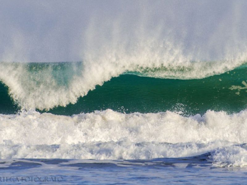 Avistamiento de aves en Escalante y alrededores Avistamiento de aves en Escalante y alrededores
