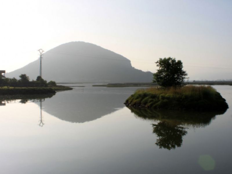 Turismo ornitológico en Cantabria, avistamiento de aves Turismo ornitológico en Cantabria, avistamiento de aves