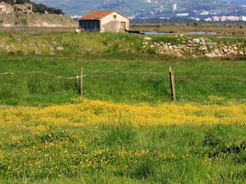 Cantabria, para descubrir aves en libertad Cantabria, para descubrir aves en libertad